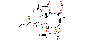 Briaviolide M